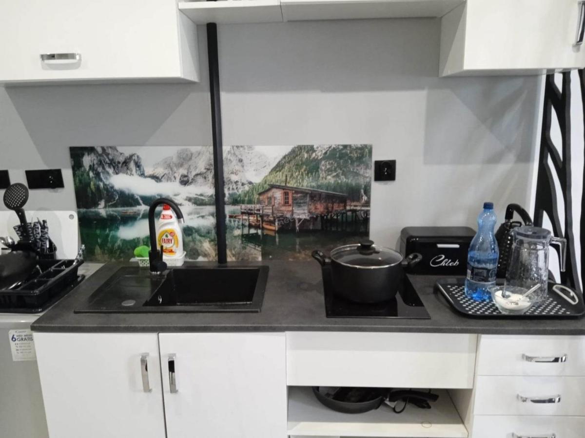 Komfortowy Apartament U Baltazara Daire Duszniki Zdrój Dış mekan fotoğraf